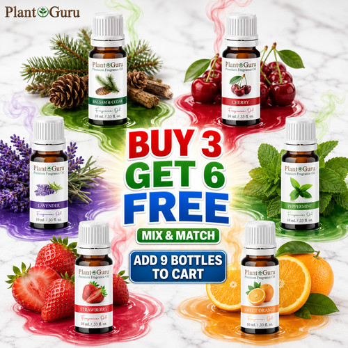 Fragrance oil for - oil,